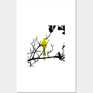 Yellow bird on a black tree Posters and Art